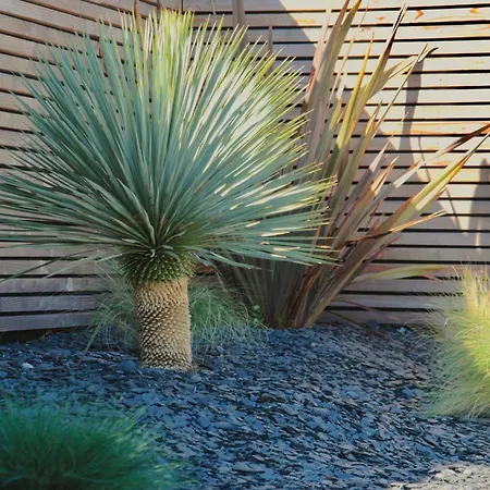 Les cocons du bassin - cocon Spa&Design-3